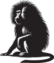 Baboon Monkey animal Silhouette isolated on white background