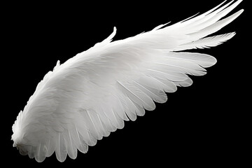 Naklejka premium White angel or bird wing on black background