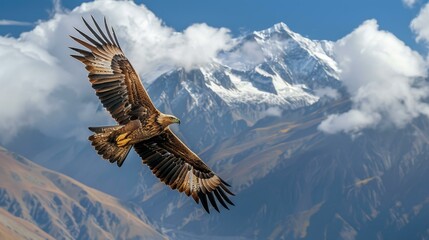 Obraz premium Golden Eagle Soaring Over Majestic Mountains