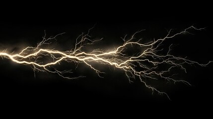 Isolated lightning bolt with intricate branch-like extensions against a black background, illustrating the fierce energy of a thunderstorm.