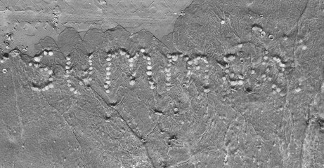 Summer Word on Sand made of Seashells