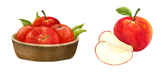 Apples in Bowl, Half Cut Slice Apple Watercolor illustration Set