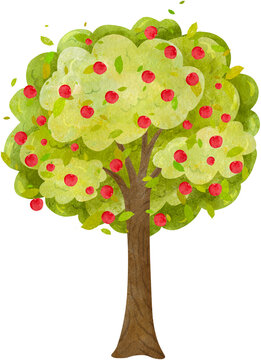 Apple tree with leaves watercolor illustration