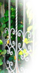 Beautiful Decorative Fence in the Garden. Vintage wrought iron gates. A metal fence among the bushes