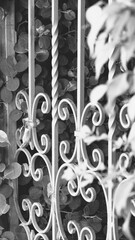 Beautiful Decorative Fence in the Garden. Vintage wrought iron gates. A metal fence among the bushes