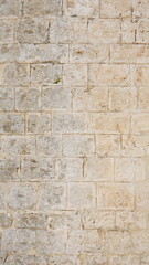 Detailed Stone Wall Textured Surface Close-Up Natural Color