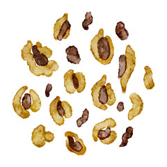 Set abstract animal print spots leopard, watercolor safari design elements