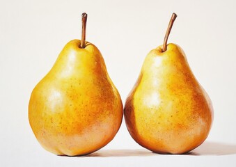 Oil painting of two yellow pears set against a white background showcasing their distinct features and textures