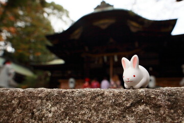 神社とうさぎ