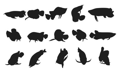 Arowana fish silhouettes set Vector