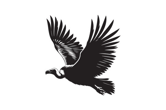 recommend clip art: Vulture silhouette vector illustration, Vulture silhouette vector Vulture silhouette line art