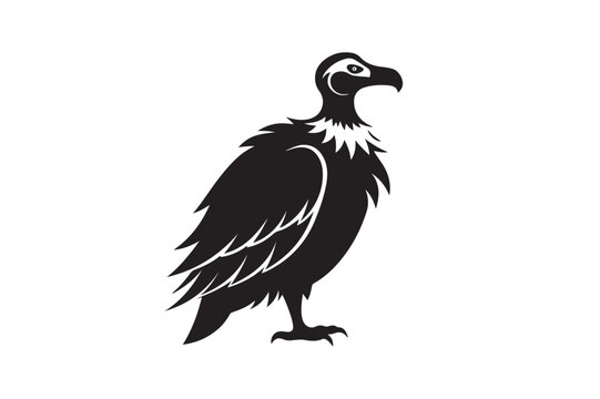 recommend clip art: Vulture silhouette vector illustration, Vulture silhouette vector Vulture silhouette line art
