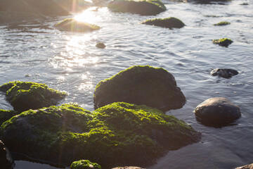 Sunrise view with mossy rocks on it on the beach.