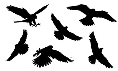 Animals eagle hawk bird fly swoop attack silhouette set collection on white background vector