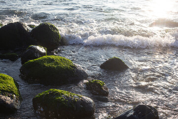 Sunrise view with mossy rocks on it on the beach.