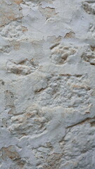 Vintage Wall Texture. Old Backdrop. Weathered Surface. Cracked Plaster. Wallpaper for Design