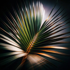 Obraz premium Palm leaf blured green gold black background. Poster. Floral card