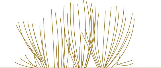 Fototapeta premium Vector sketch illustration of a tree bush plant design for a garden greening landscape