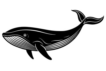 whale silhouette vector illustration