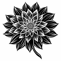 Fototapeta premium black and white flower vector