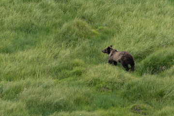 US national park Colorado Rocky Mountai Gran Teton Yellowstone