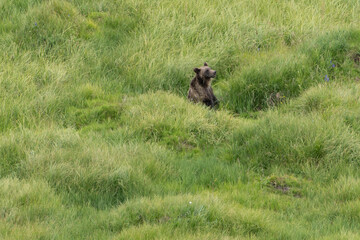 US national park Colorado Rocky Mountai Gran Teton Yellowstone