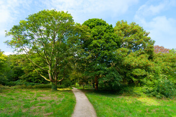 Fototapety na wymiar - Fototapeta24.pl