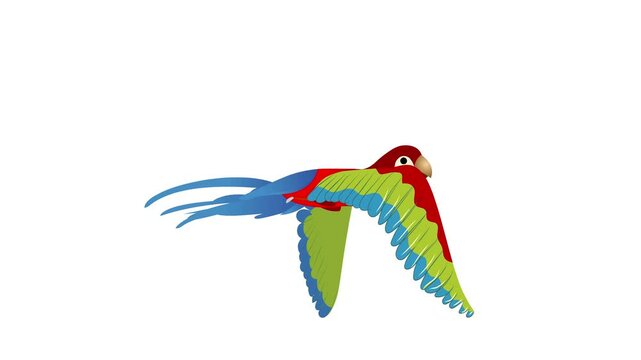 Parrot flying animation video