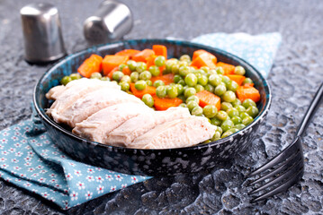 Savory vegetable stew with chicken fillet on plate on a table