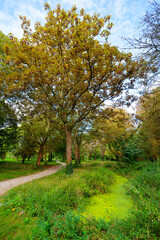 Arboretum of Paris city in the Vincennes wood