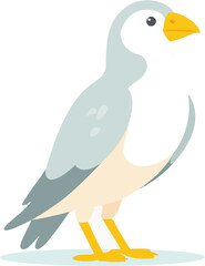 Bird Animal Nature Wildlife Creature