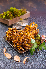 beautiful autumn honey fungus, raw mushrooms