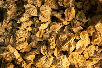 A desert rose, an intricate rose-like formation of crystal clusters