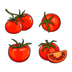 set of red tomatoes on a white background. Tomato in sketch style for packaging and prints. Food in doodle style.