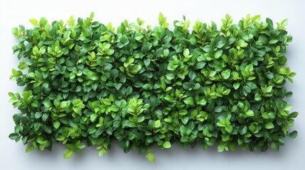Obraz premium Green Leafy Plant Wall Generative AI