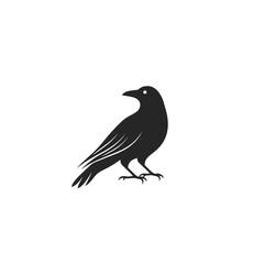 Fototapeta premium Crow Vector isolated