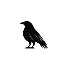 Crow Vector isolated