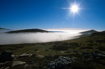 Mer de nuages, Ile Carcass, Iles Falkland, Malouines