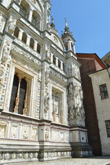 Certosa di Pavia,particolare 