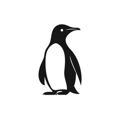 Obraz premium Black Penguin Vector