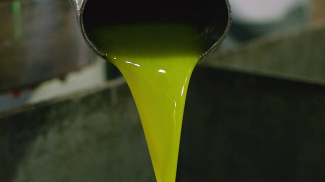 Footage of fresh virgin olive oil poured from a tube into a container. 