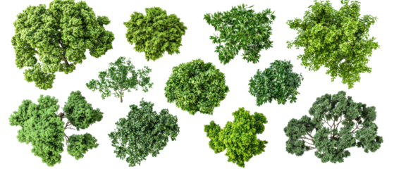 Top view, set of various green trees, for landscape design isolate on transparent background, cutout, png
