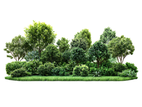 Lush green forest with diverse trees isolate on transparent background, cutout, png