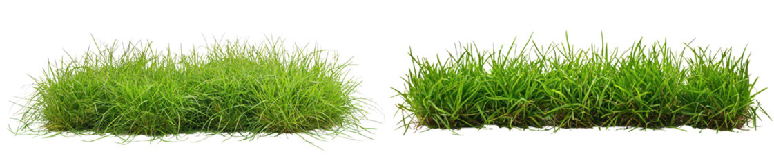 Set of Lush green grass patches suitable for landscaping, gardening isolate on transparent background, png, cutout