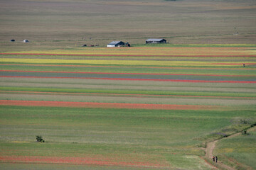 Castelluccio dipinto