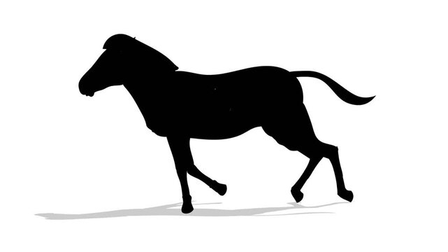 Zebra running animation video