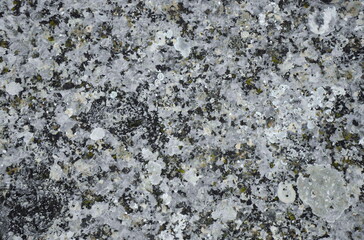 Detailed Granite Texture Closeup Multicolor Surface