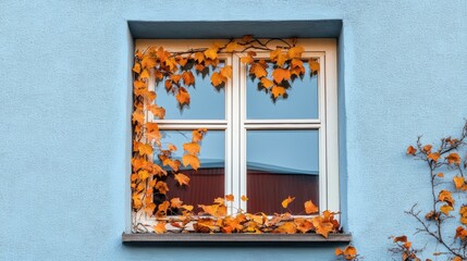 Frontal view of a window with minimalistically arranged autumnal leaves