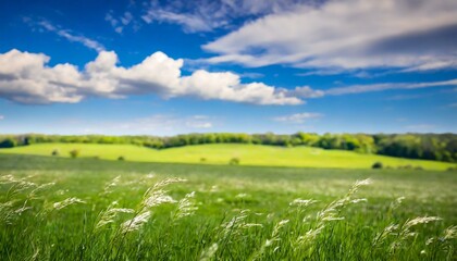 Obraz premium Krajobraz słoneczna zielona łąka polana 