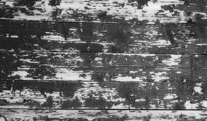 Obraz premium Worn Black White Painted Wooden Planks Horizontal Texture